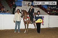 bky_05__2154 thumbnail