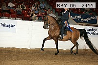 bky_05__2155 thumbnail