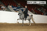 bky_05__2156 thumbnail
