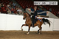 bky_05__2157 thumbnail