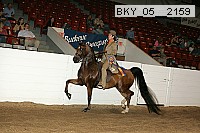 bky_05__2159 thumbnail