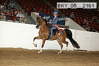 bky_05__2161 thumbnail