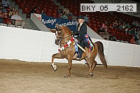 bky_05__2162 thumbnail