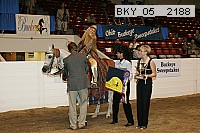 bky_05__2188 thumbnail