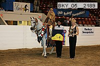 bky_05__2189 thumbnail