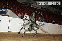 bky_05__2190 thumbnail
