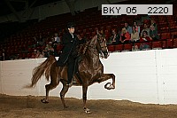 bky_05__2220 thumbnail