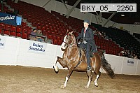 bky_05__2250 thumbnail