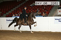 bky_05__2252 thumbnail