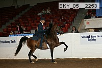 bky_05__2253 thumbnail