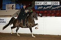 bky_05__2255 thumbnail