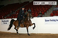 bky_05__2257 thumbnail