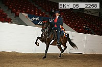 bky_05__2258 thumbnail