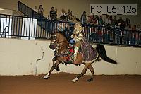 fc_05_125 thumbnail
