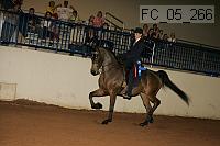 fc_05_266 thumbnail