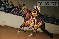 fc_05_377 thumbnail
