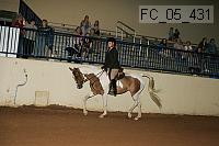 fc_05_431 thumbnail