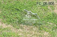 fc_05-905 thumbnail