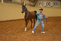 fc_05_300 thumbnail