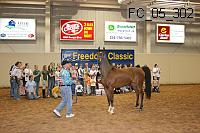 fc_05_302 thumbnail