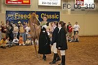 fc_05_310 thumbnail