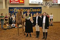 fc_05_311 thumbnail