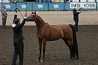 img_1089 thumbnail