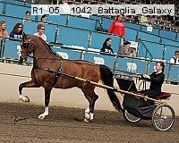 r1_05__1042_battaglia_galaxy thumbnail