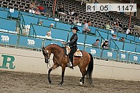 r1_05__1147 thumbnail