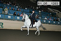 r1_05__1283 thumbnail