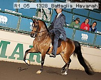 r1_05__1328_battaglia_havanah thumbnail