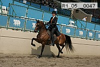 r1_05__0047 thumbnail