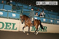 r1_05__0228 thumbnail