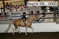 reg14_05__0850 thumbnail