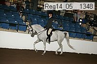reg14_05__1348 thumbnail