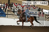 reg14_05__1444 thumbnail