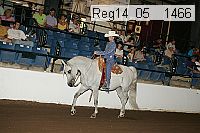 reg14_05__1466 thumbnail