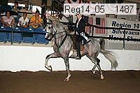 reg14_05__1487 thumbnail