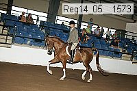 reg14_05__1573 thumbnail