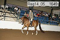 reg14_05__1649 thumbnail
