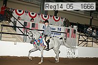 reg14_05__1666 thumbnail