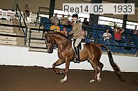 reg14_05__1933 thumbnail