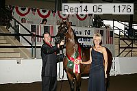 reg14_05__1176 thumbnail