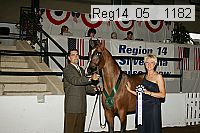 reg14_05__1182 thumbnail