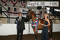 reg14_05__1185 thumbnail