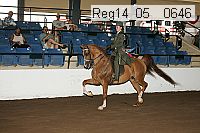 reg14_05__0646 thumbnail
