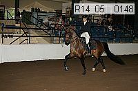 r14_05__0148 thumbnail