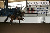 r14_05__0088 thumbnail