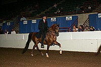 r12_05__0136 thumbnail