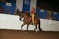 r12_05__0248 thumbnail